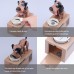 Dog Piggy Bank